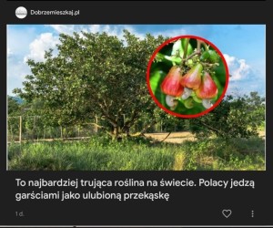 Mhm... Chrupkie w środku