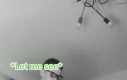Rel