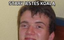 Stary jesteś koalą