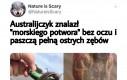 Pływasz sobie, a tu nagle to ociera Ci się o nogę