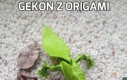 Gekon z origami
