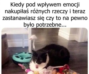 Czy było warto