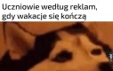 Bardziej cieszyć się po prostu nie da