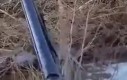 Słynny muzyk i jego gitara