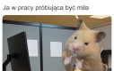 Lekko nie jest