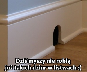 Kreskówkowa dziura