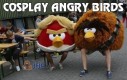 Cosplay Angry Birds