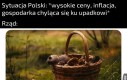 Priorytety