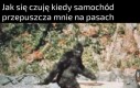 Już mnie nie ma, kochany