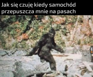 Już mnie nie ma, kochany