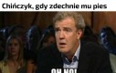 Chomik posiada około 70 kalorii