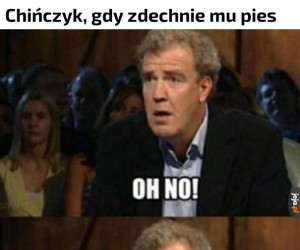 Chomik posiada około 70 kalorii