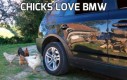 Chicks love BMW