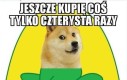 Opłaca się