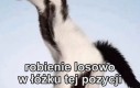 Nie tylko ja tak robię, prawda?