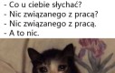 Pić, jeść, spać