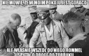 Chłodno to na pewno nie jest