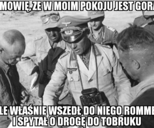 Chłodno to na pewno nie jest