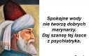 Co ci szkodzi w sumie