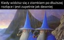 Tak wygląda prawdziwa przyjaźń