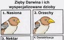 Cenna lekcja
