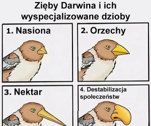 Cenna lekcja