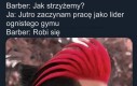 Charizard, wybieram cię!