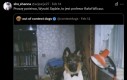 TVP kiedy ma wolne miejsce w ramówce