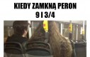 Trzeba autobusem