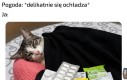 Od dawna tak mam
