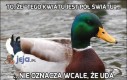 To, że 