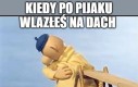 Chyba będzie potrzeba straż pożarna