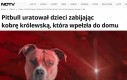 Ustaw się w kolejce