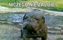 Niczego nie żałuję