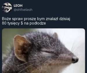 Może posłucha