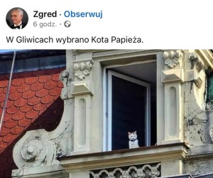 W końcu ktoś zrobi tam porządek