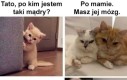 Śpisz na kanapie!