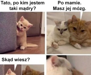 Śpisz na kanapie!