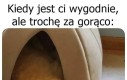 Trzeba wystawić nogę