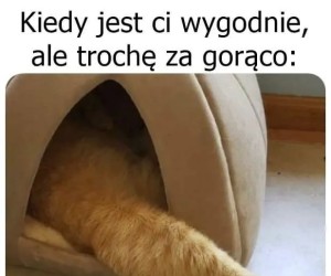 Trzeba wystawić nogę