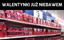 Single zrozumieją...