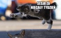 Życie studenckie