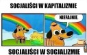 Tytuł