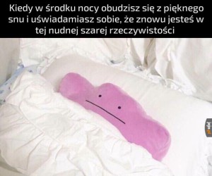 Może jak znowu zasnę to będzie dalszy ciąg...