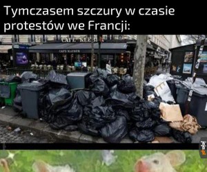 Złote czasy