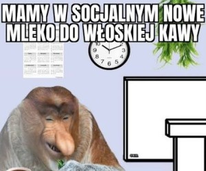 Idealny znawca kawy