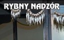 Rybny nadzór