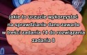 Będą ze mnie ludzie