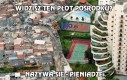 Widzisz ten płot pośrodku?