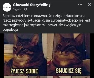 Małe zwycięstwo